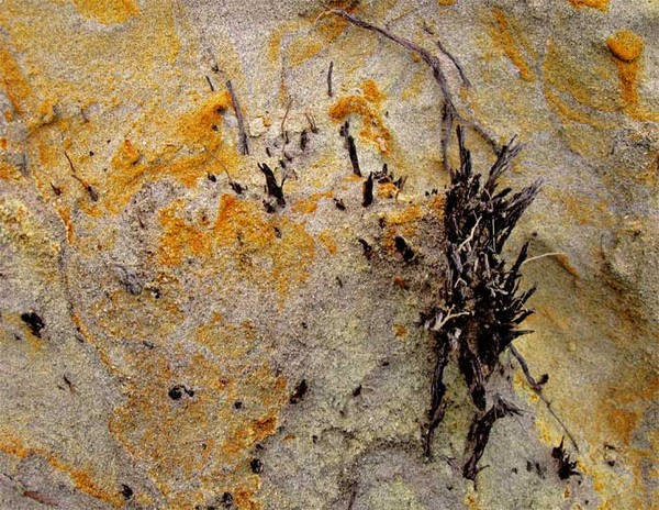 Rock Patterns 2