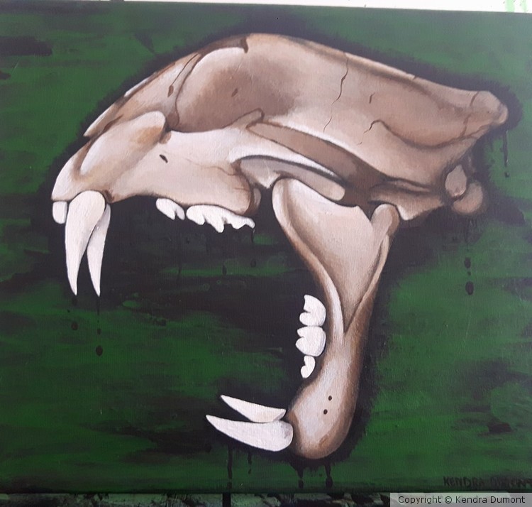cloudedleopardskull