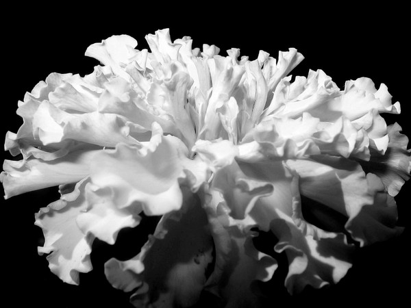 Light_and_shadow_1