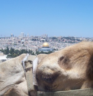 jerusalem