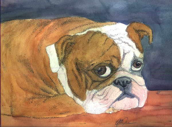 Sad Bulldog