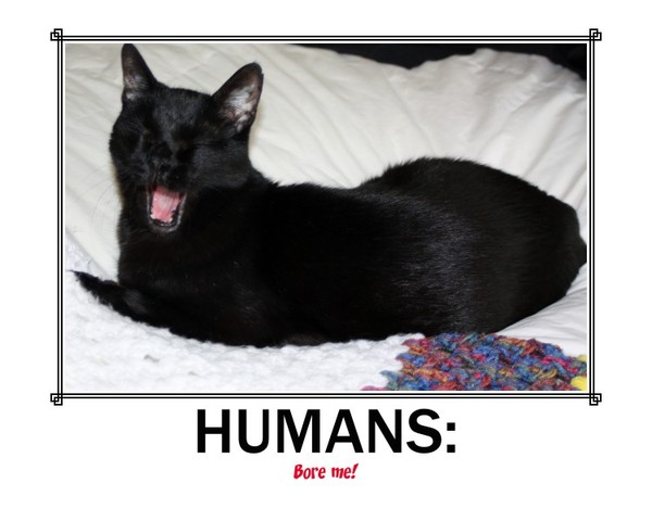 Humans Bore Me
