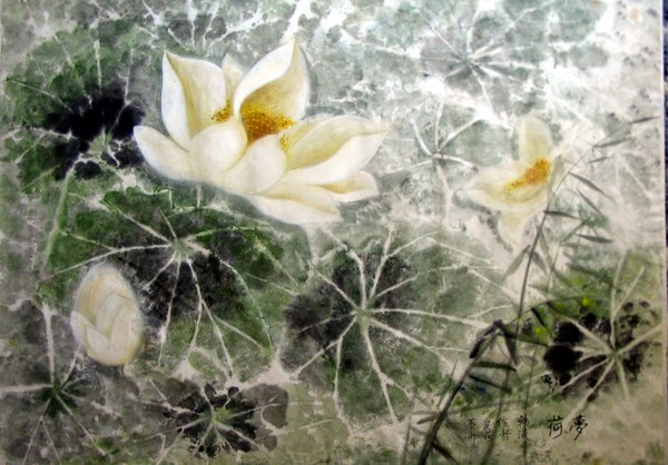 Lotus in my dream