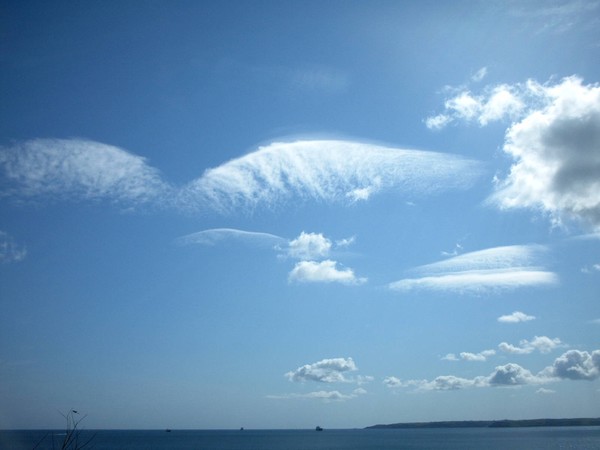 WING CLOUDS