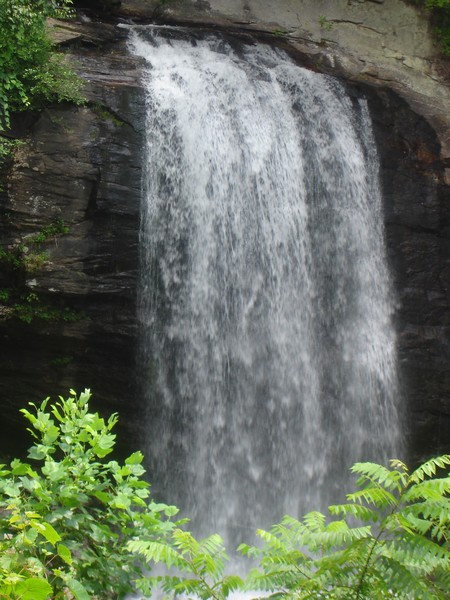 LOOKING GLASS FALLS