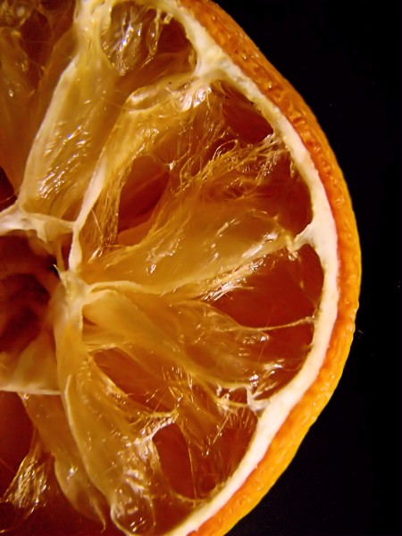 Lemon Slice
