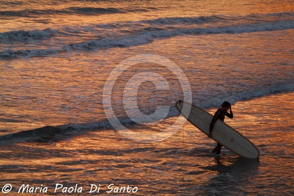 No waves, no surfing
