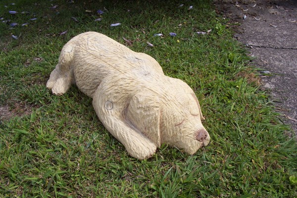 Sleeping Labrador Retriever