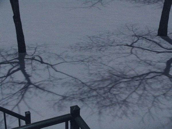 Moon Shadow