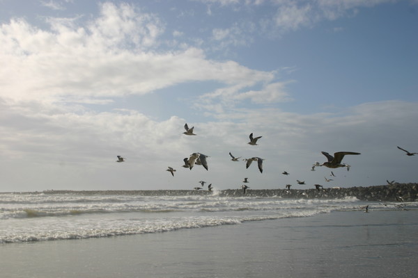 In Flight