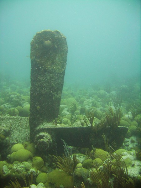 Kate propeller