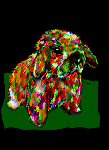 Bailey