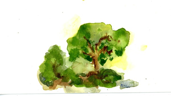 Teacher's Tree