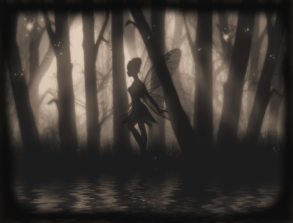 Enchanted Glimpse