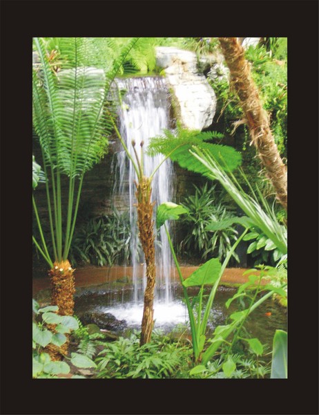 Fern Falls