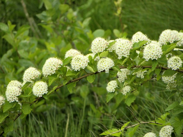 My photo blog_6 image 6.11