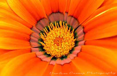Center