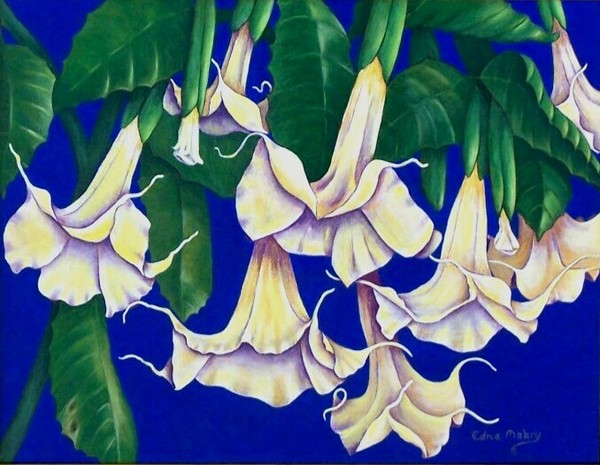 Angel's Trumpets