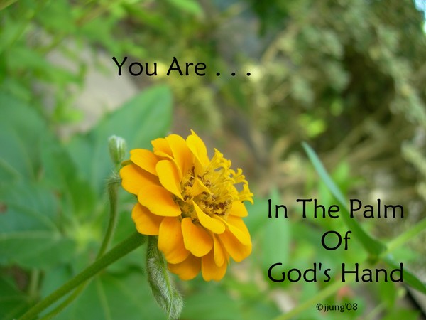 You Are . . .