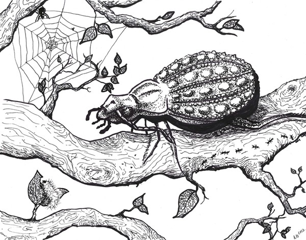 Bug