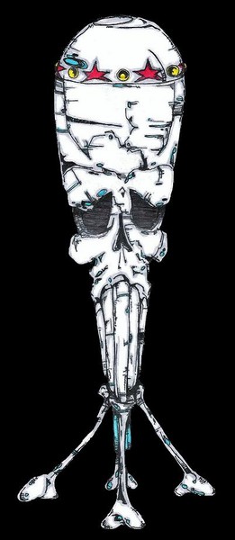 Skull Bomb