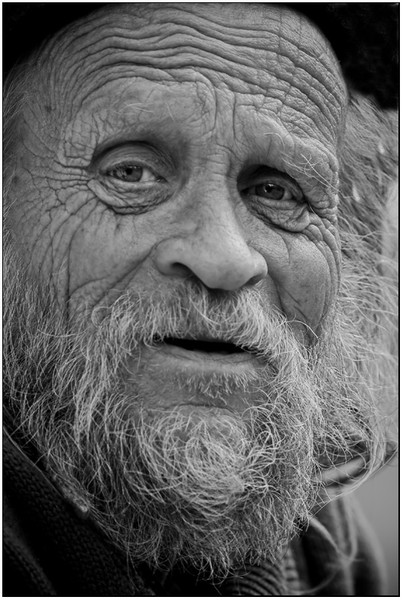portrait