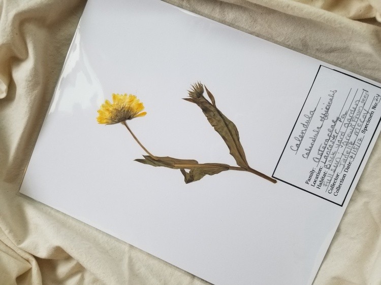 20180922 162244