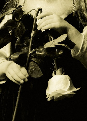 HORROR OF ROSE