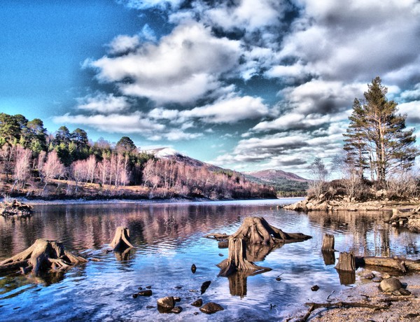 The Loch