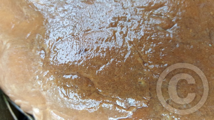 Petrified Snakes Eye Image
