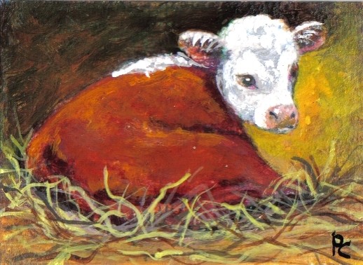 Hereford Calf
