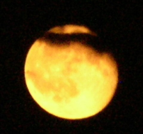 DSCN8079