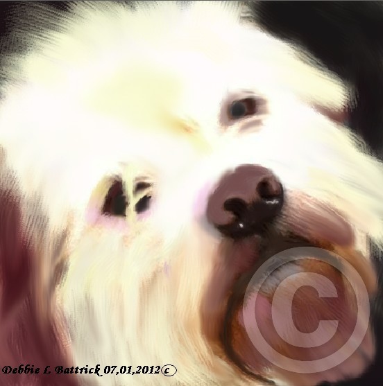 MY SISTER'S DOG