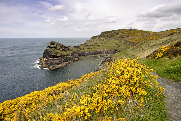 Boscastle_Harbour_1