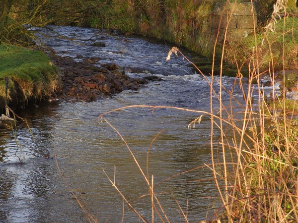 Stream