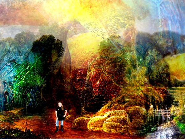 T IN THE PYRAMID OF NATURE