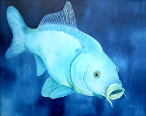 Carp