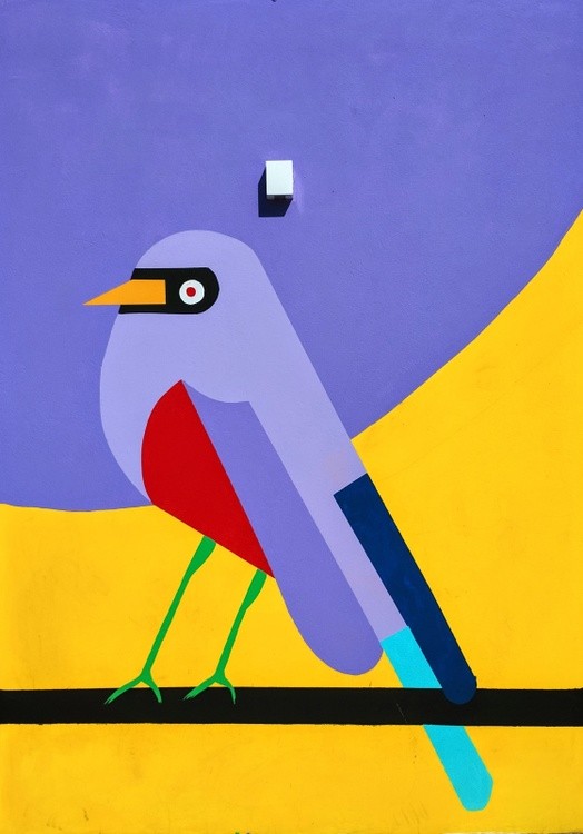 Aves