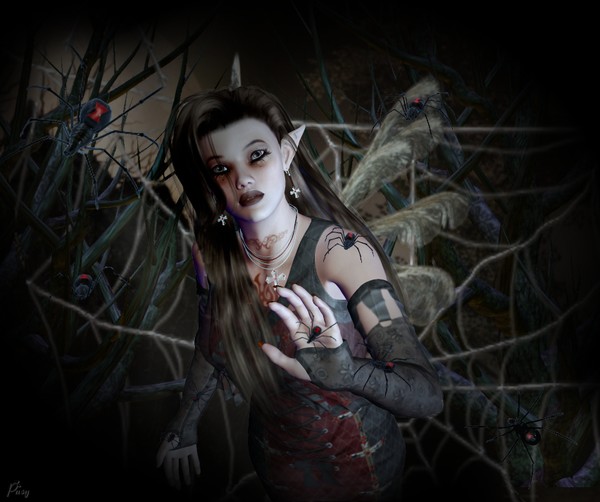 Spiders