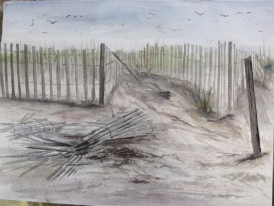 Fire Island 