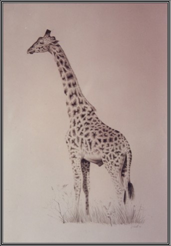 Giraffe