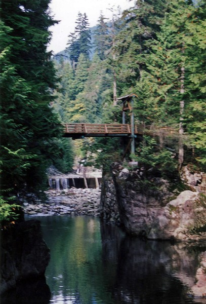 Crossing in the Woods