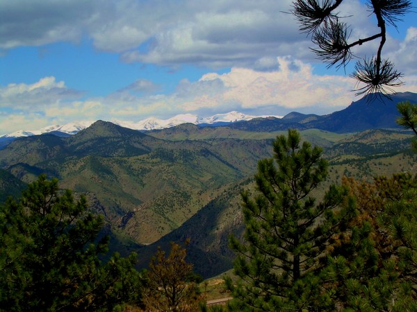Golden Colorado