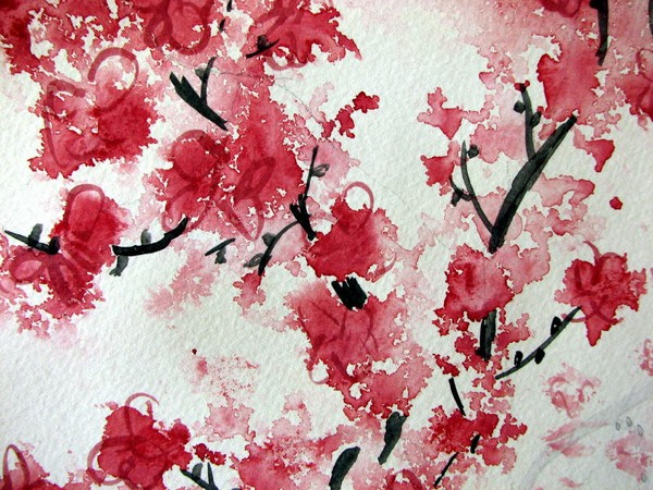 Cherry Blossoms