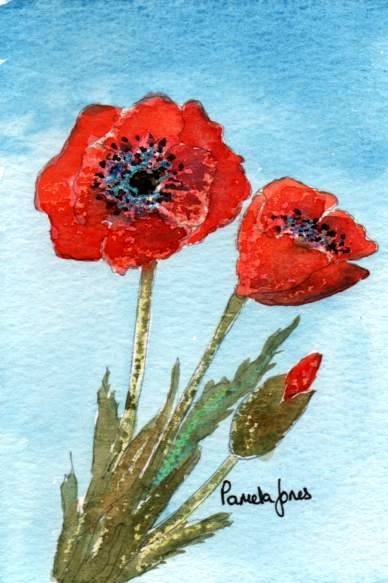 Poppies