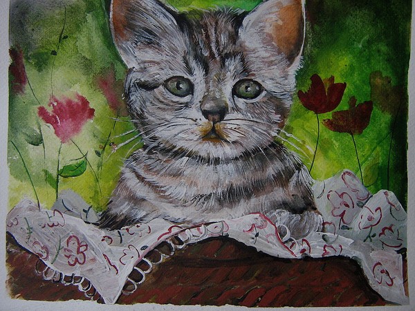 the cat inside the basket