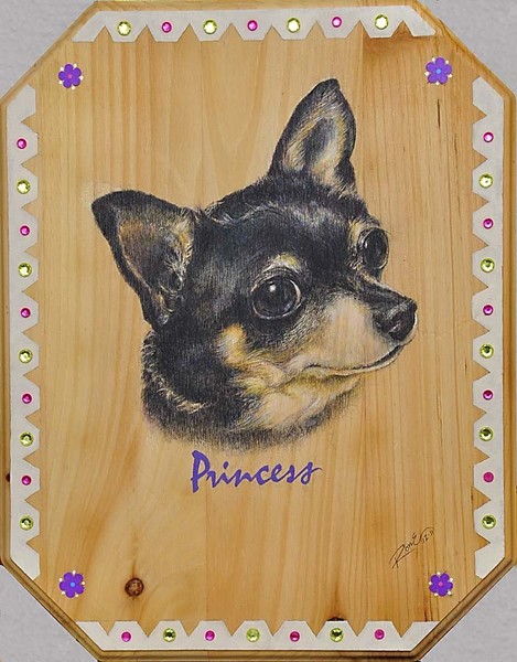 Princess on Pine