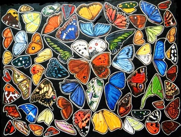 Butterflies