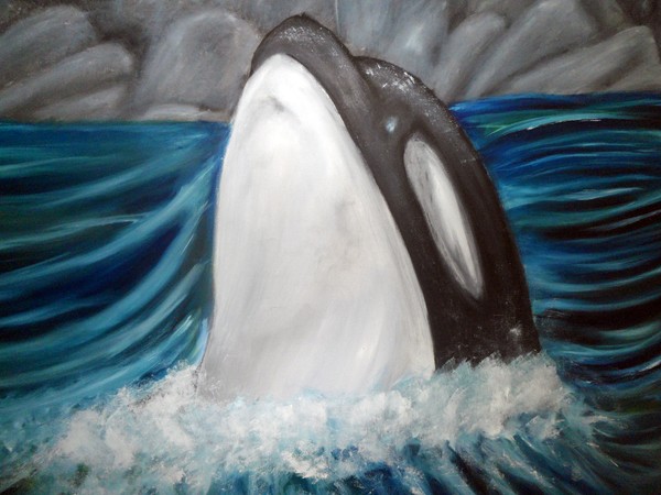 Killer Whale