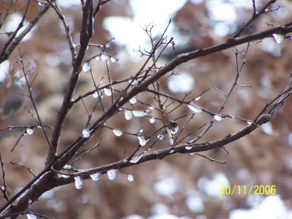November Freeze '06